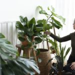 Vasos para decoração do jardim