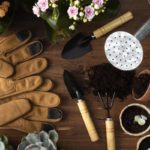 Quais são as ferramentas de jardinagem essenciais para se ter em casa?