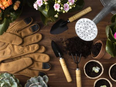 Quais são as ferramentas de jardinagem essenciais para se ter em casa?