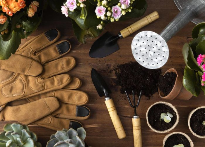 Quais são as ferramentas de jardinagem essenciais para se ter em casa?