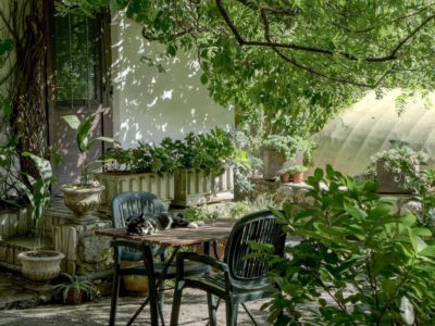 Dicas de como enfeitar o jardim