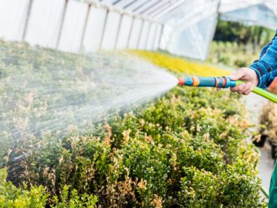 Como irrigar o seu jardim do jeito certo?