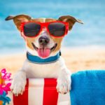 O que levar para passar o dia na praia? Confira o checklist