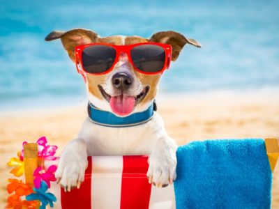 O que levar para passar o dia na praia? Confira o checklist