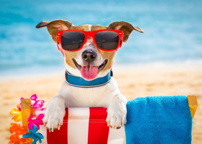 O que levar para passar o dia na praia? Confira o checklist