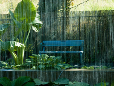 Unindo beleza e sustentabilidade, o jardim de chuva é uma ideia que merece ser adotada e compartilhada.  Venha conferir no site do Balaroti tudo o que você precisa para criar uma área que garanta um eficiente gerenciamento da água. O planeta agradece e sua família merece esse bem-estar. 