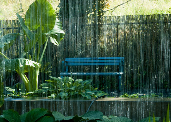 Unindo beleza e sustentabilidade, o jardim de chuva é uma ideia que merece ser adotada e compartilhada.  Venha conferir no site do Balaroti tudo o que você precisa para criar uma área que garanta um eficiente gerenciamento da água. O planeta agradece e sua família merece esse bem-estar. 