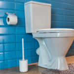 Com todas essas orientações, fica mais fácil escolher o vaso sanitário ideal para o seu banheiro. Aposte em um modelo que garanta conforto, bem-estar e praticidade no seu dia a dia. Você e sua família merecem esse carinho!