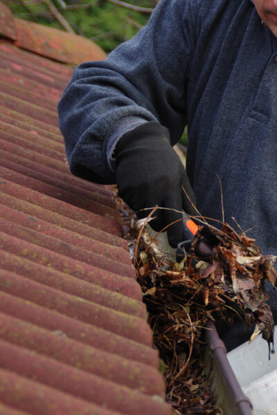 Como Proteger Sua Casa no Outono: Dicas Essenciais para um Lar Seguro e Aconchegante